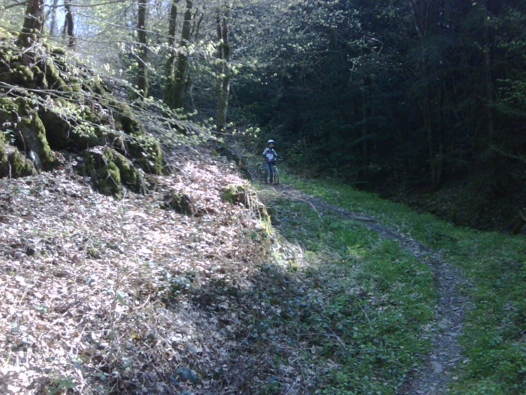 img00130_20110419_1409_detail