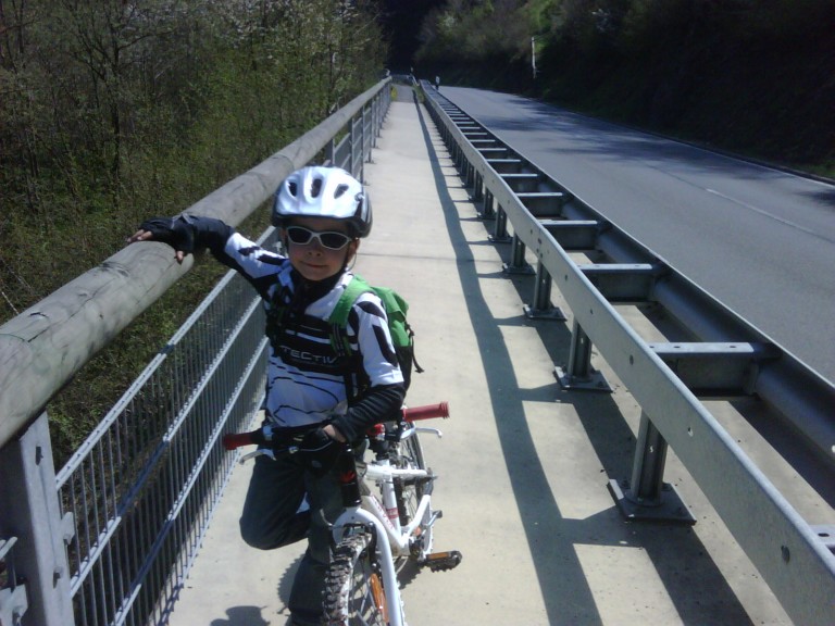 img00133_20110419_1427_detail