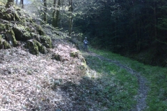 img00130_20110419_1409_detail