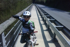 img00133_20110419_1427_detail