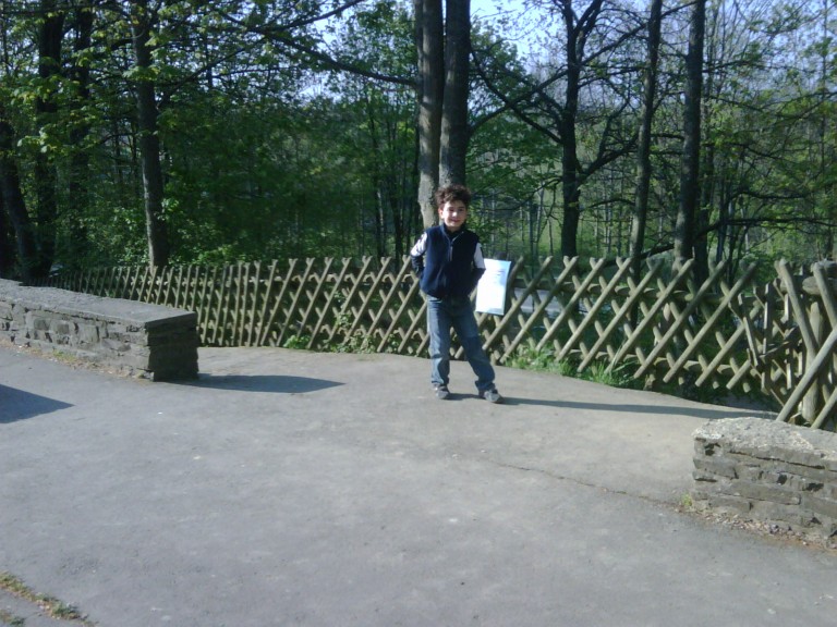 img00158_20110420_0905_detail