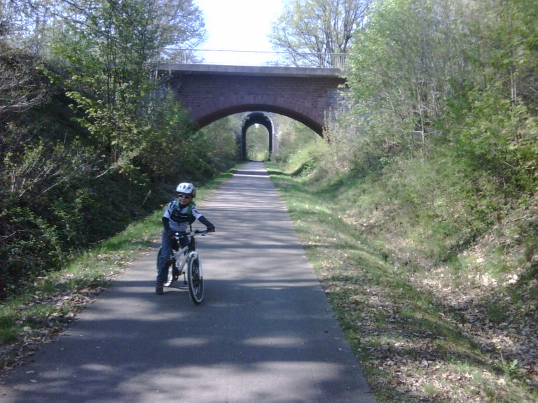 img00167_20110420_1019_detail