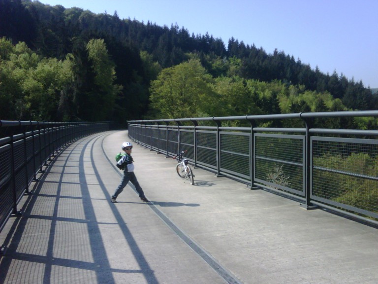 img00173_20110420_1041_detail