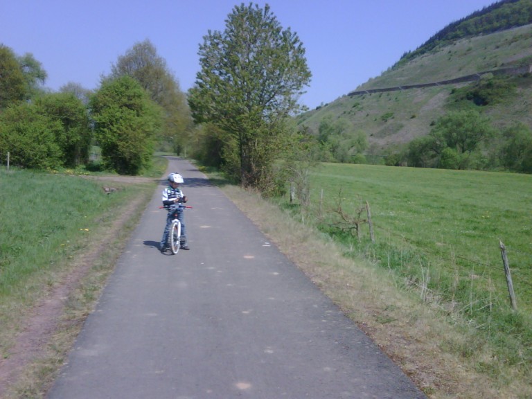 img00197_20110420_1304_detail