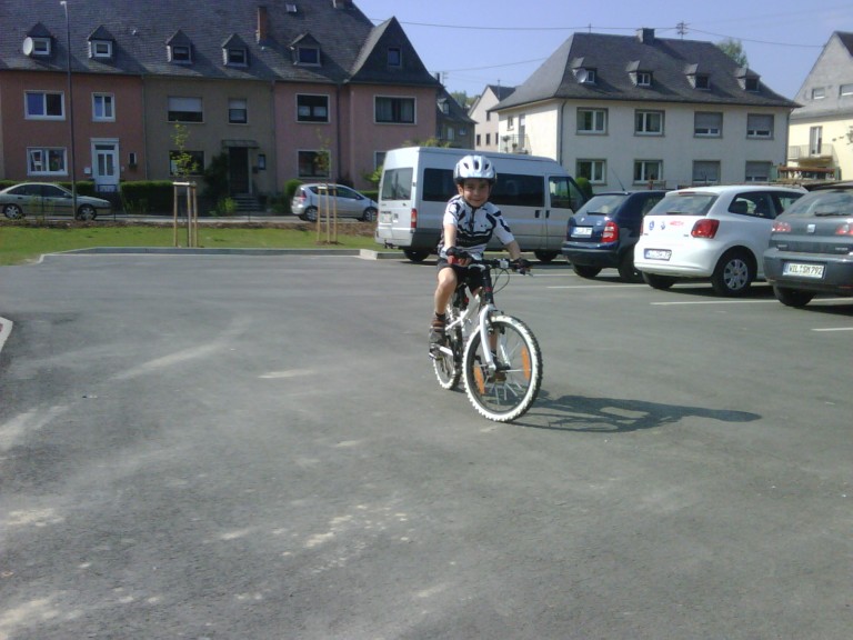 img00220_20110420_1542_detail