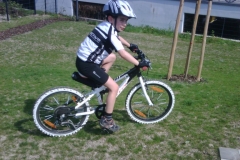img00225_20110420_1544_detail