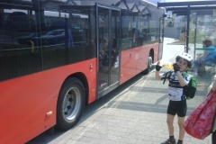 img00228_20110420_1554_detail