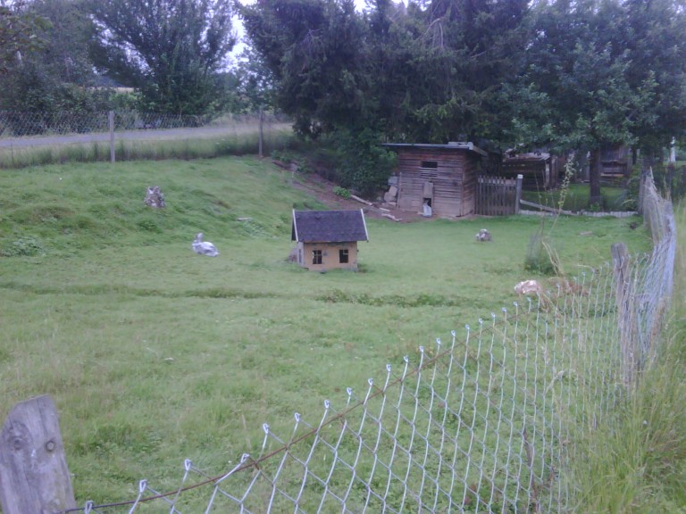 img00080_20110704_1149_detail