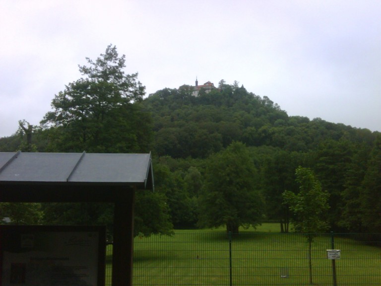 img00084_20110704_1214_detail