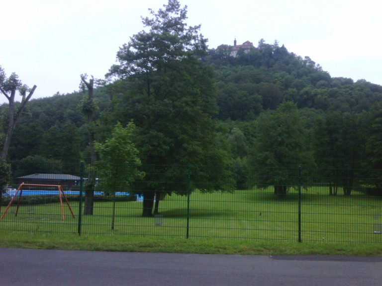 img00086_20110704_1222_detail