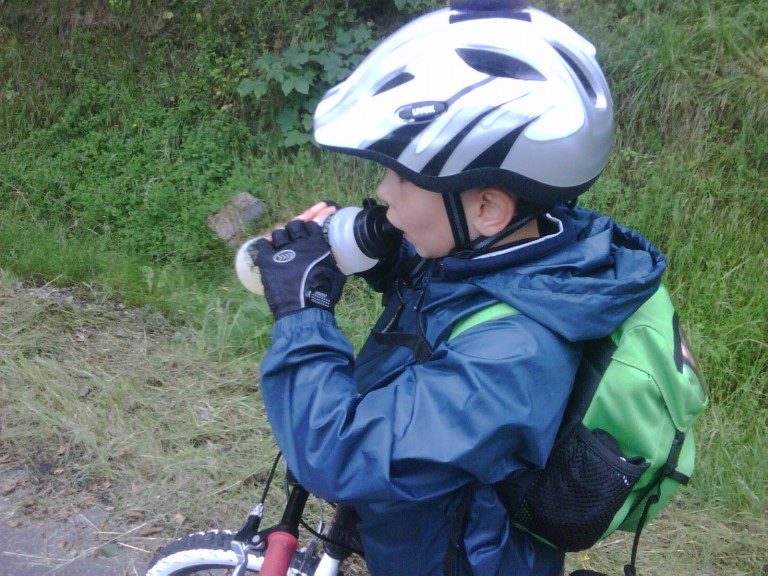 img00099_20110704_1430_detail