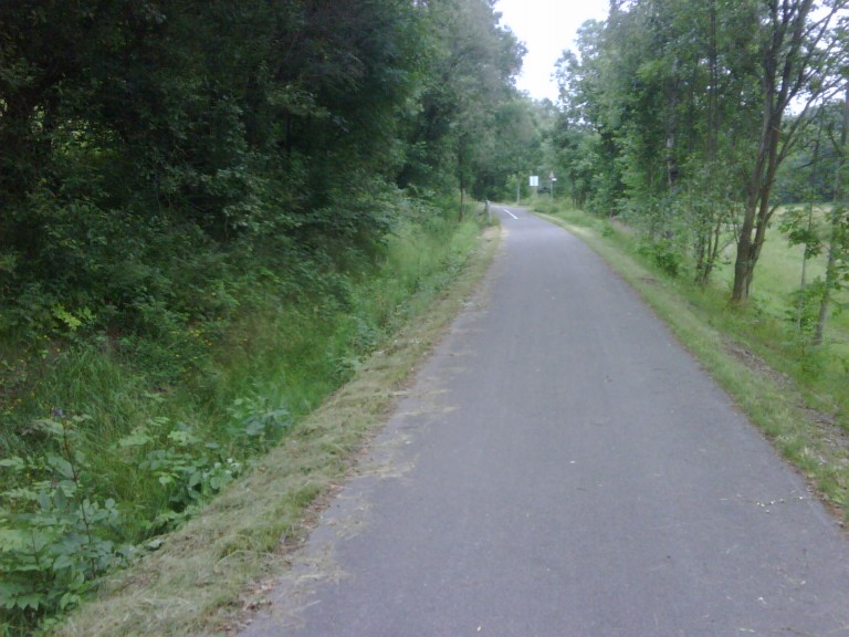 img00103_20110704_1431_detail