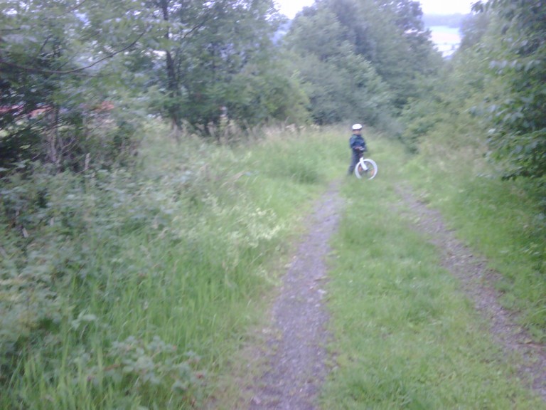img00105_20110704_1459_detail