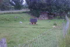 img00080_20110704_1149_detail