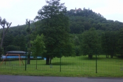 img00086_20110704_1222_detail