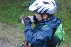 img00099_20110704_1430_detail