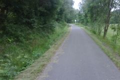 img00103_20110704_1431_detail