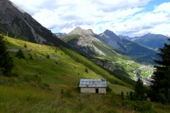 dsci0529_detail