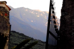 dsci0708_detail