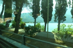dsci0743_detail